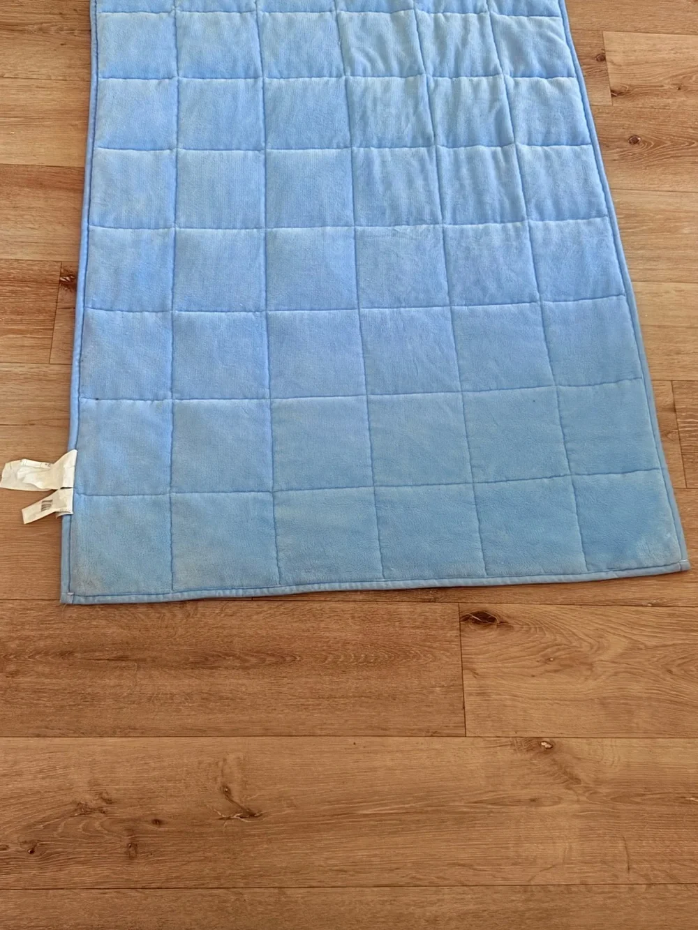 Disney Frozen Anna & Elsa Weighted  Blanket in Blue, Purple and Red Accents